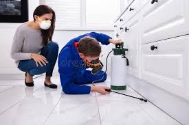 Best Residential Pest Control  in Lake Mathews, CA